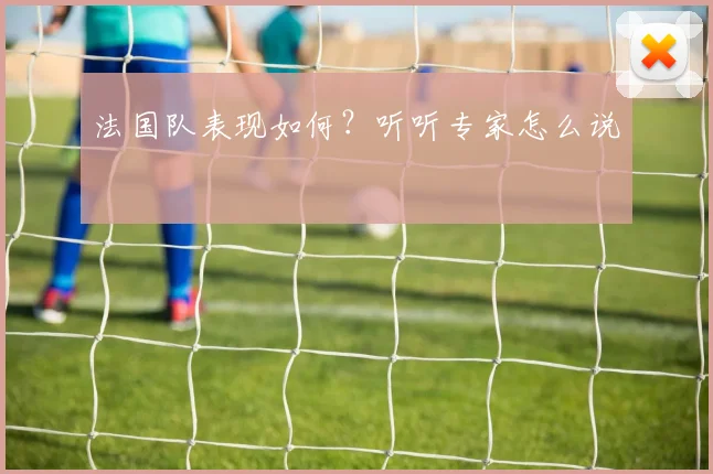 法国队表现如何？听听专家怎么说
